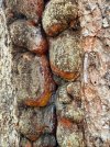 IMG_5495.jpeg