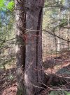 IMG_5492.jpeg