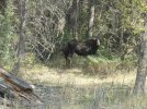 Moose  ed's wedding-25.jpg
