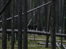 Moose  ed's wedding-26.jpg