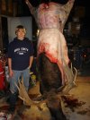 DSC03907.jpg
