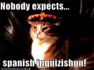 nobody-expects.jpg