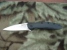 S30V Leek Polished G10   .JPG