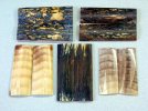 p.gill.ivory1.jpg