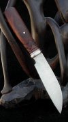 ModifiedWharny1-5.jpg