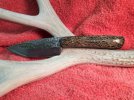 Cactus Knife 1.jpg