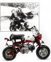 Beetles Monkey Bike pic.jpg