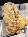 burl1.jpg
