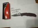 IMG_Spyderco Endura PD1 L.jpeg