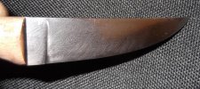 DSCF2619.jpg