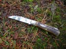GEC #72.jpg