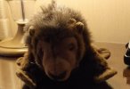 DSCF2635.jpg
