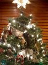 tree ornament.jpg tree ornament.jpg