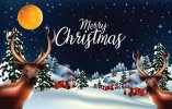 celebrate-merry-christmas-background-concept-free-vector.jpg celebrate-merry-christmas-background-concept-free-vector.jpg