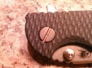 CAM00162.jpg