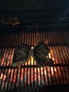 IMG_9698.jpeg IMG_9698.jpeg