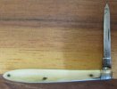 Small Ivory Quill Knife 1-1.jpg