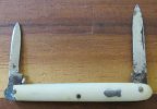 Unmarked Small Ivory Shadow Penknife 1.JPG