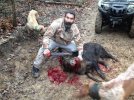 2014-Charles-hog_w.jpg 2014-Charles-hog_w.jpg