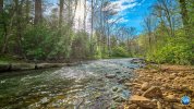 Mills_River_in_Pisgah_National_Forest_zoom_0.jpg