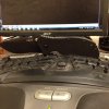 ImageUploadedByTapatalk1420068624.654960.jpg