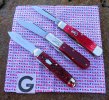 2026-02-13 RED Friday S&M Scout GEC77 CASE62130.JPG