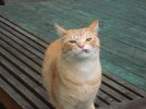 DSC00314.jpg