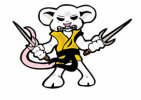 NinjaMouse1.jpg