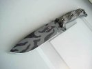 Busse_SFNOurbancamo.jpg