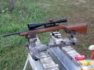 ruger10-22-1.jpg