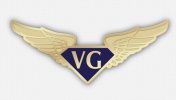 VG Pin..jpg
