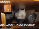shhhh dis wher I hide bodiez.jpg
