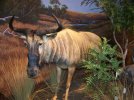 photos from Cabela's038.JPG