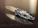 Piranha Shadow_C.jpg