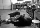 shop break july 2014.jpg