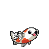 koicoinada-swimming-koi.gif