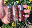 2026-02-20 AKF Schrade.JPG 2026-02-20 AKF Schrade.JPG