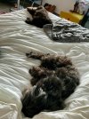IMG_0365.jpeg