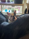 IMG_9929.jpeg