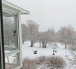 20260222_091119.jpg