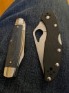 IMG_1704.jpeg