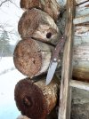 IMG_6477.jpeg