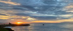 IMG_7502.jpeg