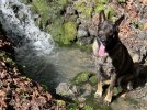 IMG_0144.jpeg