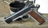 Ronin New Sights 3.JPG