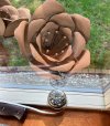 IMG_0015.jpeg
