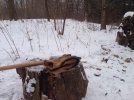 ImageUploadedByTapatalk1421009252.424459.jpg