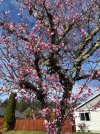 IMG_4669.jpeg