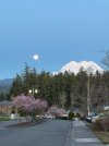 IMG_4682.jpeg