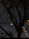 IMG_5490.jpeg